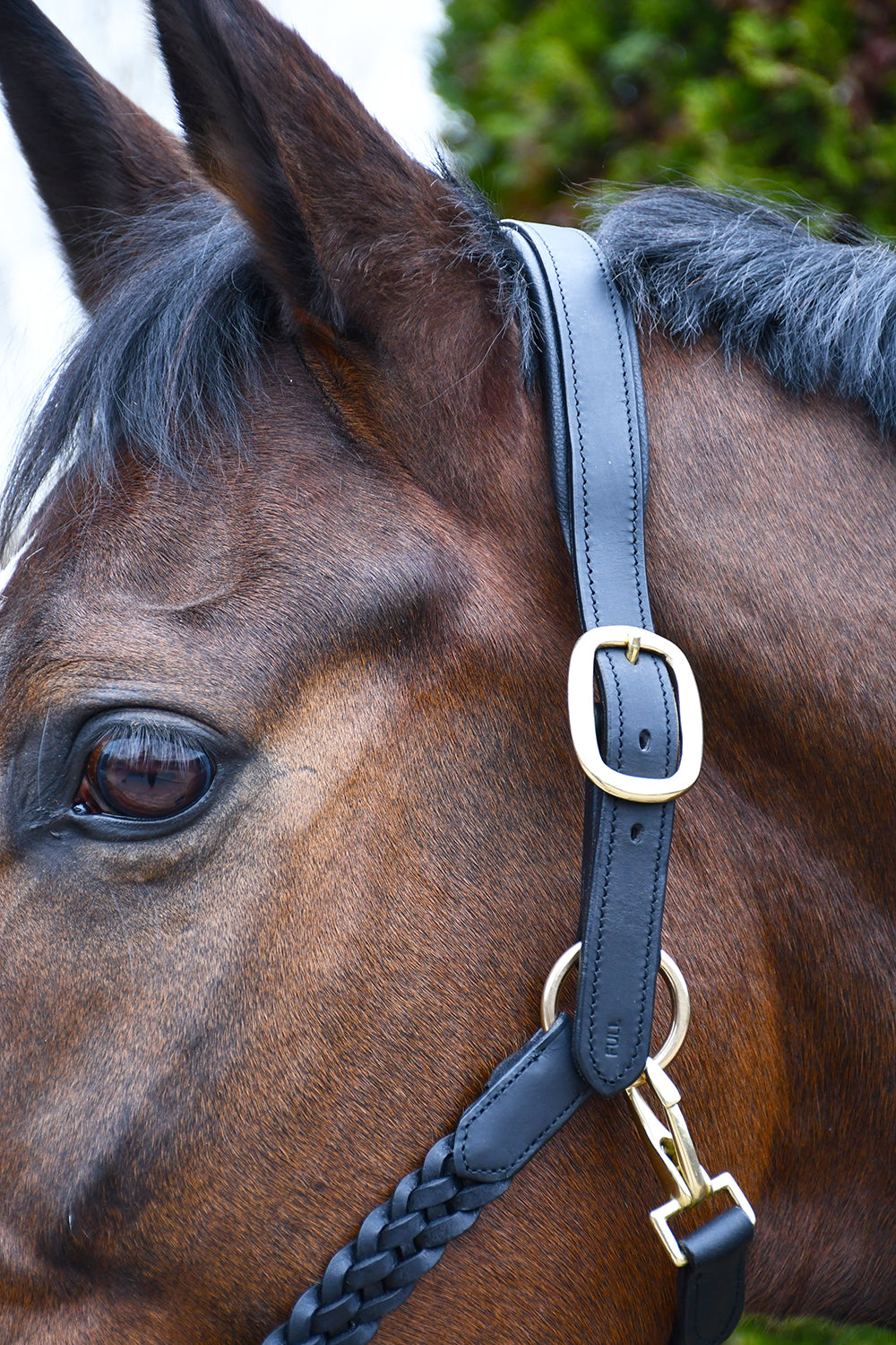 Rhinegold Lazio Plaited Leather Headcollar With Matching Leather Lead, Black.