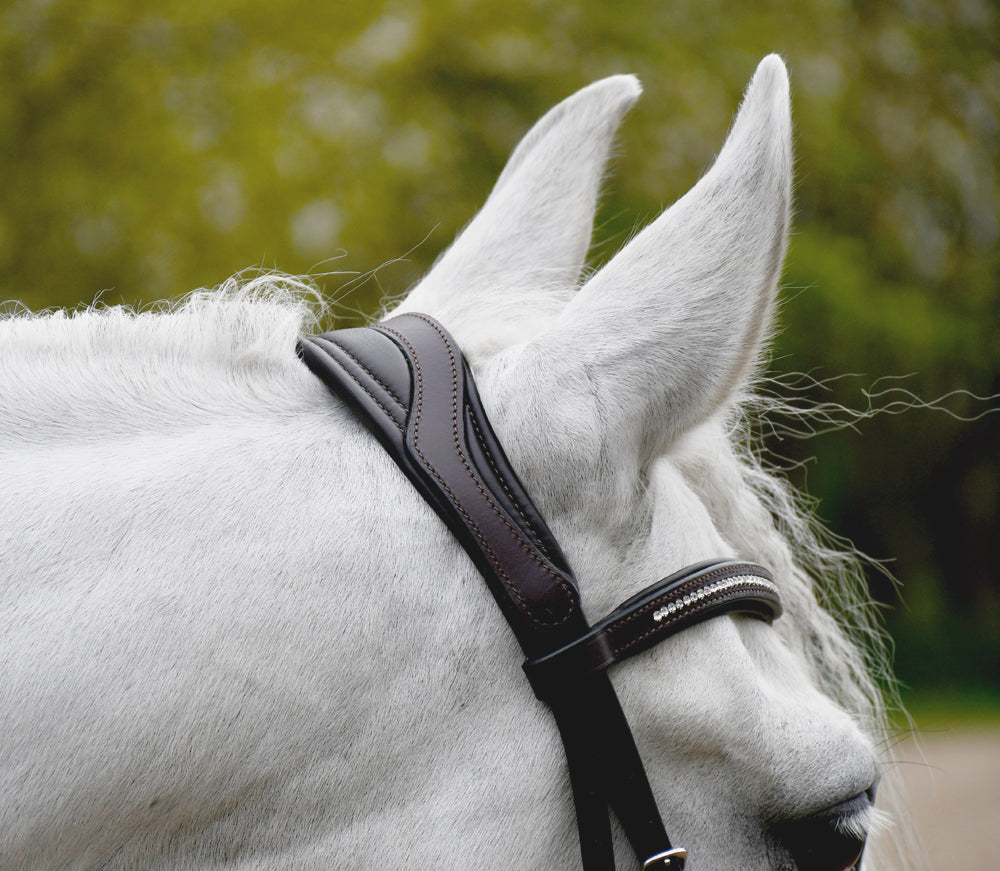 Rhinegold Anatomical Mexican Bridle,  Black,  Havana, 4 Sizes