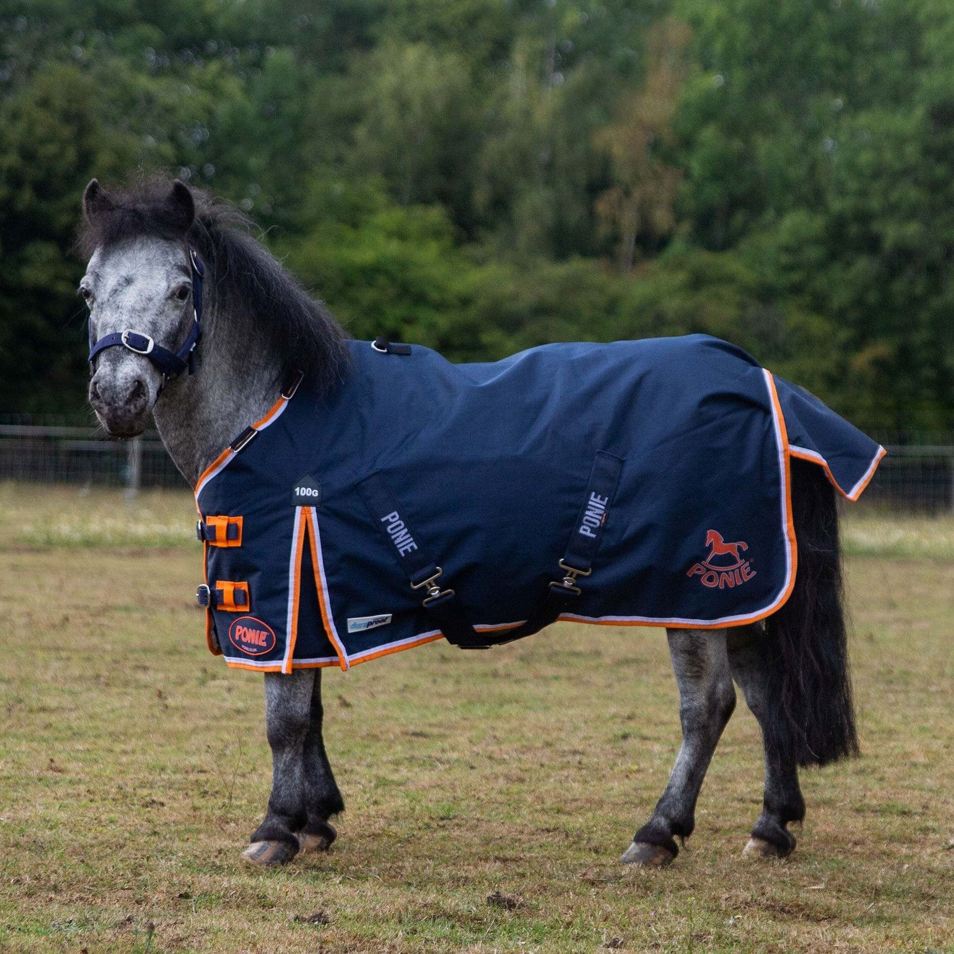 Gallop Trojan / Ponie Duraproof 100g Horse Turnout Rug, Std Neck Lightweight Rug