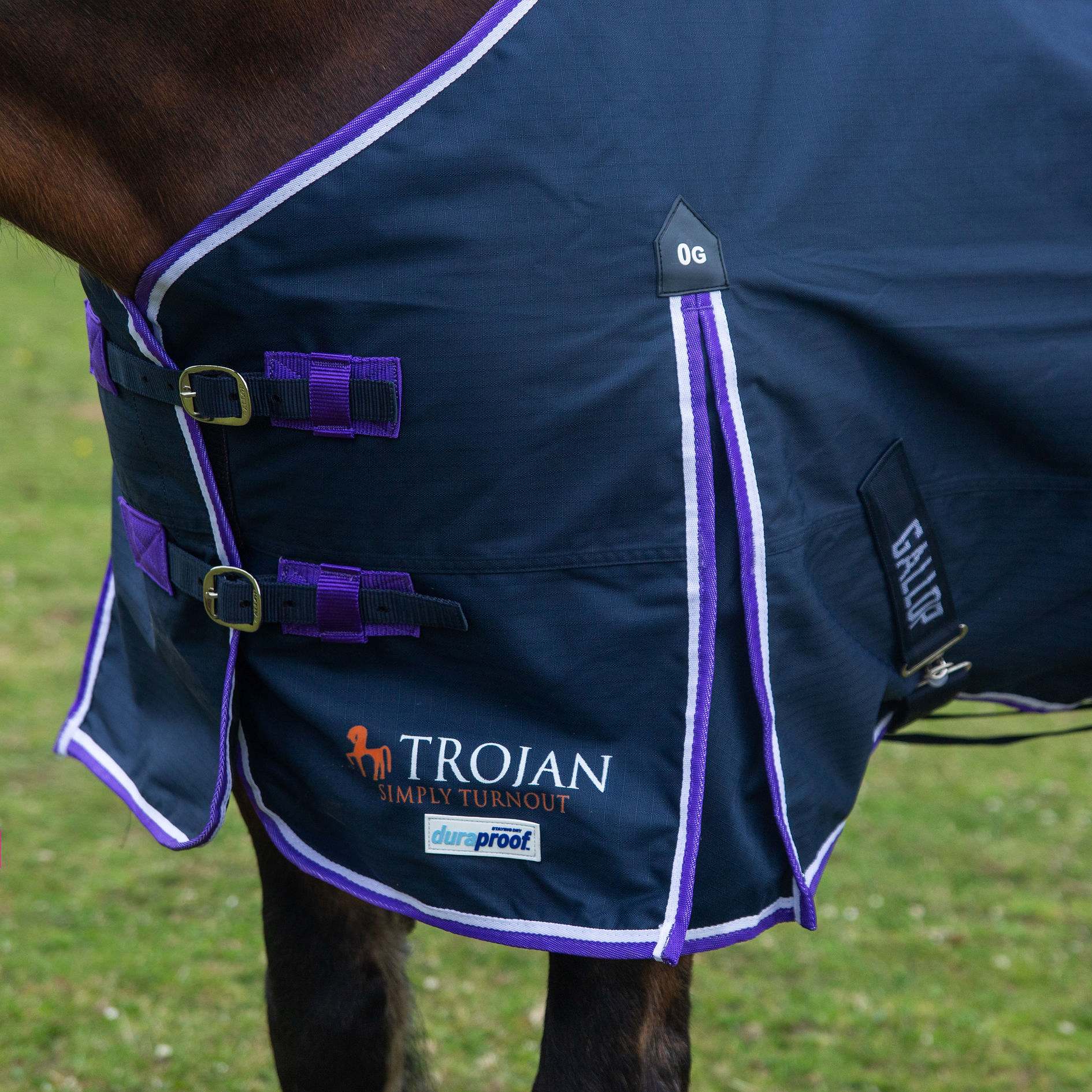 Gallop TROJAN/PONIE Duraproof Lightweight 0g Turnout, Std Neck Lightweight Rug