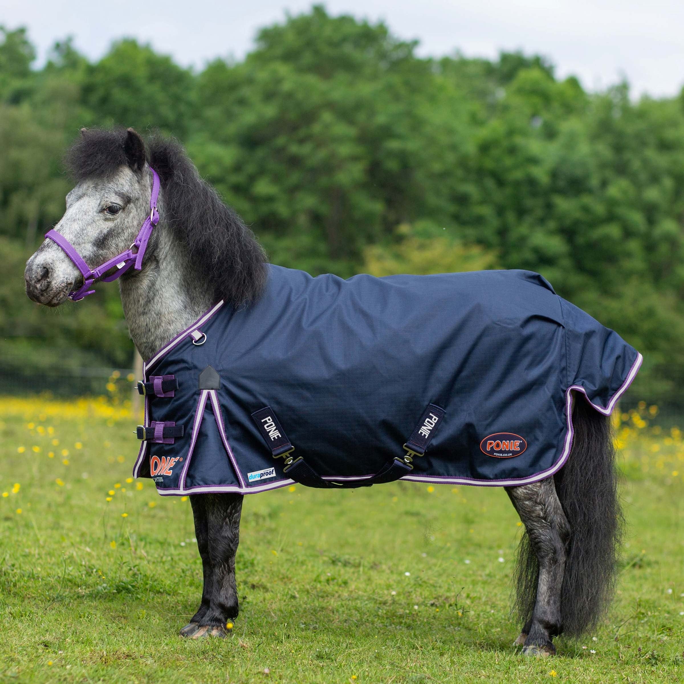 Gallop Trojan Duraproof 0g Horse Turnout Rug, Std Neck Lightweight Rug