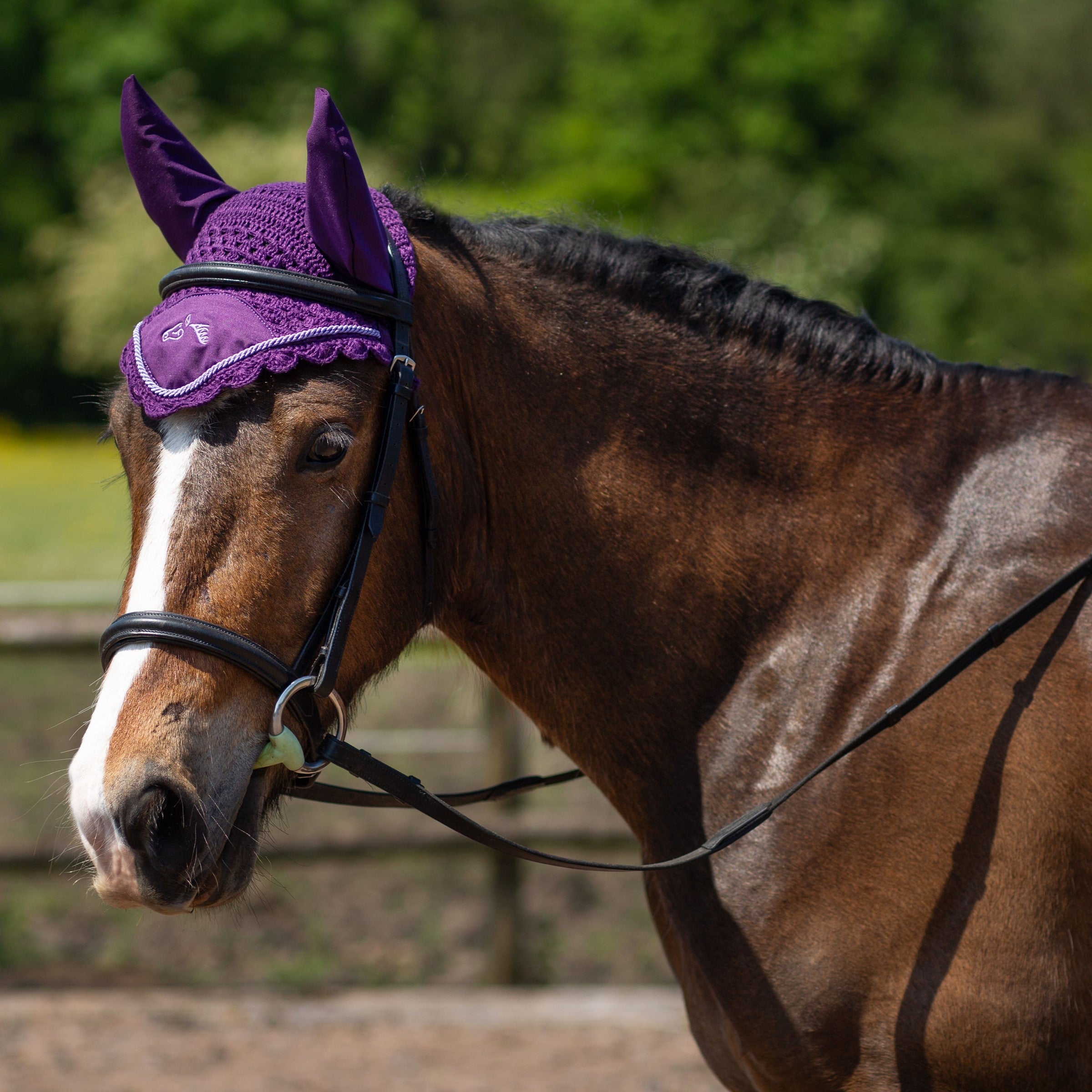 GALLOP Classic Fly Veil , 7 Colours, 4 Sizes, Woollen Fabric
