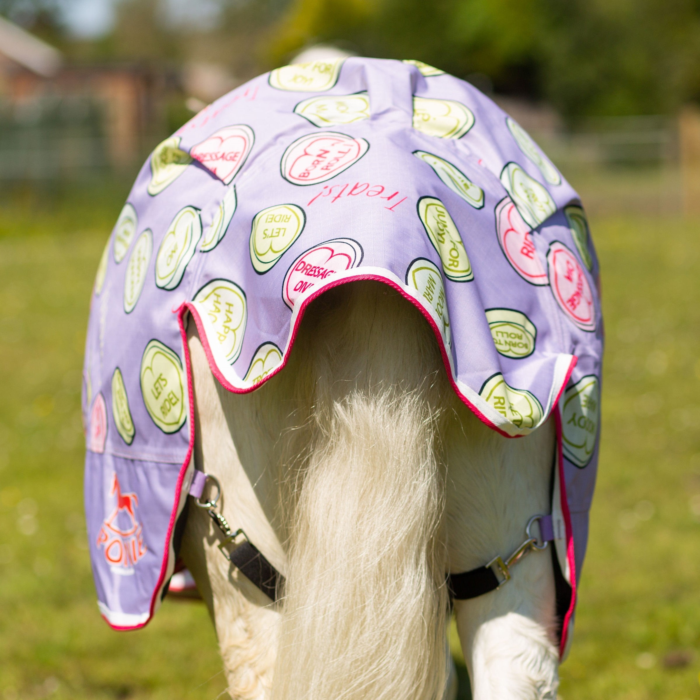 Gallop Trojan Sweet Treats Lightweight 0g Standard Neck Horse Turnout Rug