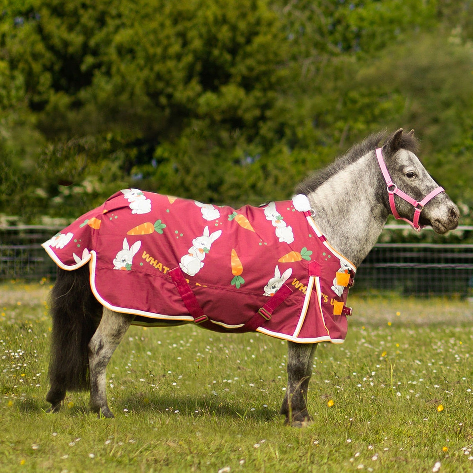 Gallop Trojan Bunnies and Carrots 50g Dual Horse Rug & 5-Point Neck Turnout Set