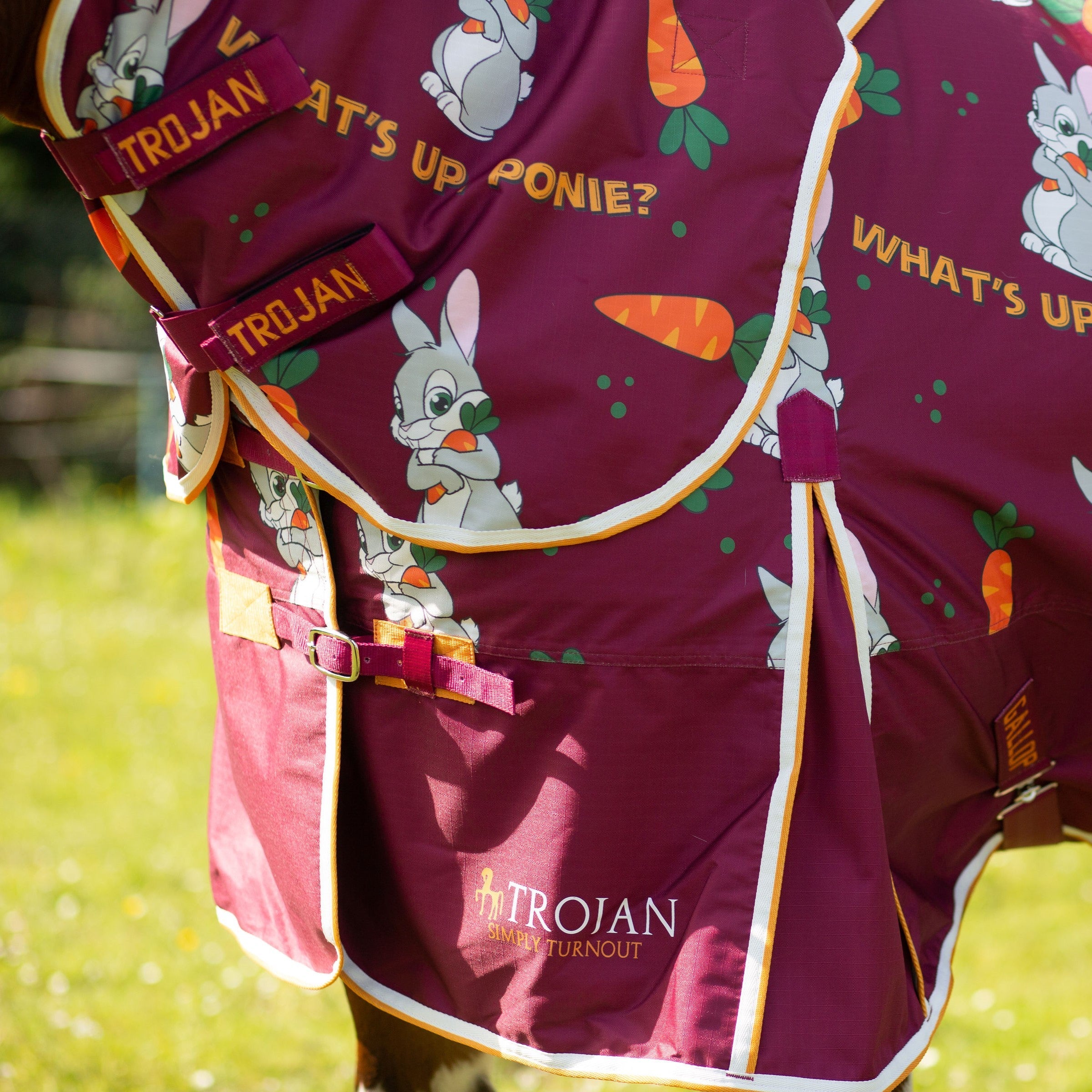 Gallop Trojan Bunnies and Carrots 50g Dual Horse Rug & 5-Point Neck Turnout Set