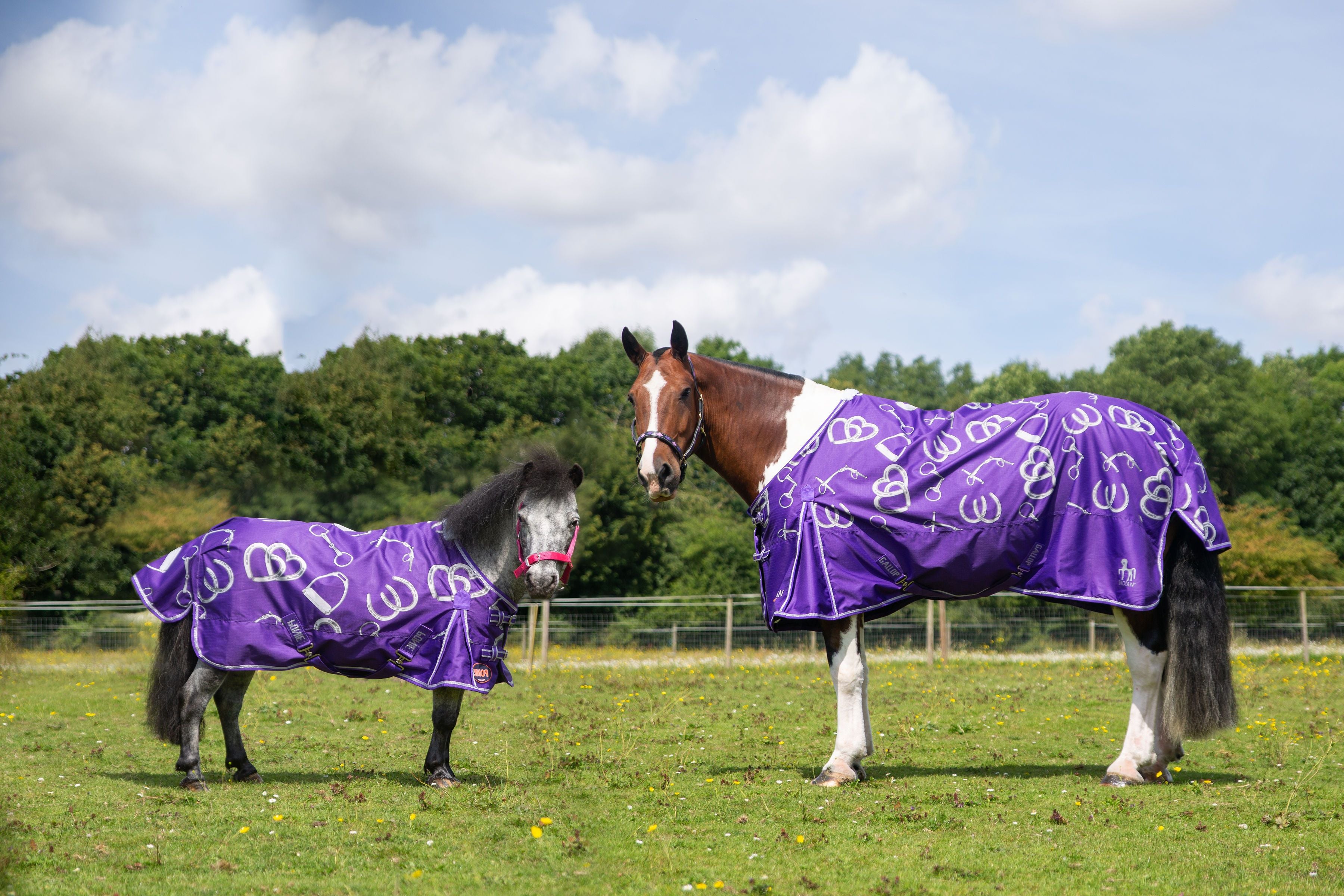 Gallop Trojan 0g 'Bits of Luck' Lightweight Outdoor Horse Turnout Rug 600 Denier
