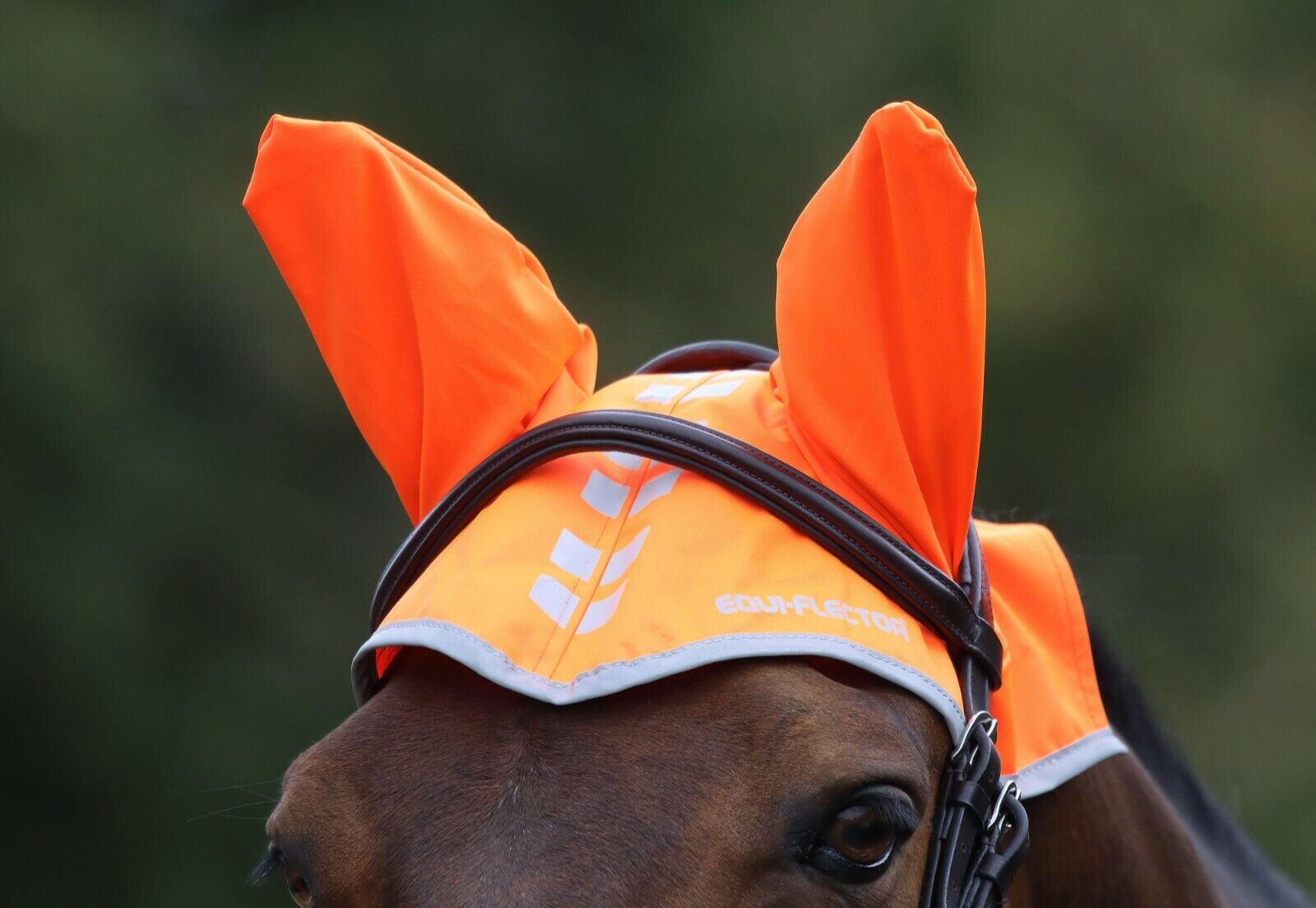 Picture of Shires Equi-Flector Horse/Pony Fly Veil in Reflective | Pink/Orange/Yellow
