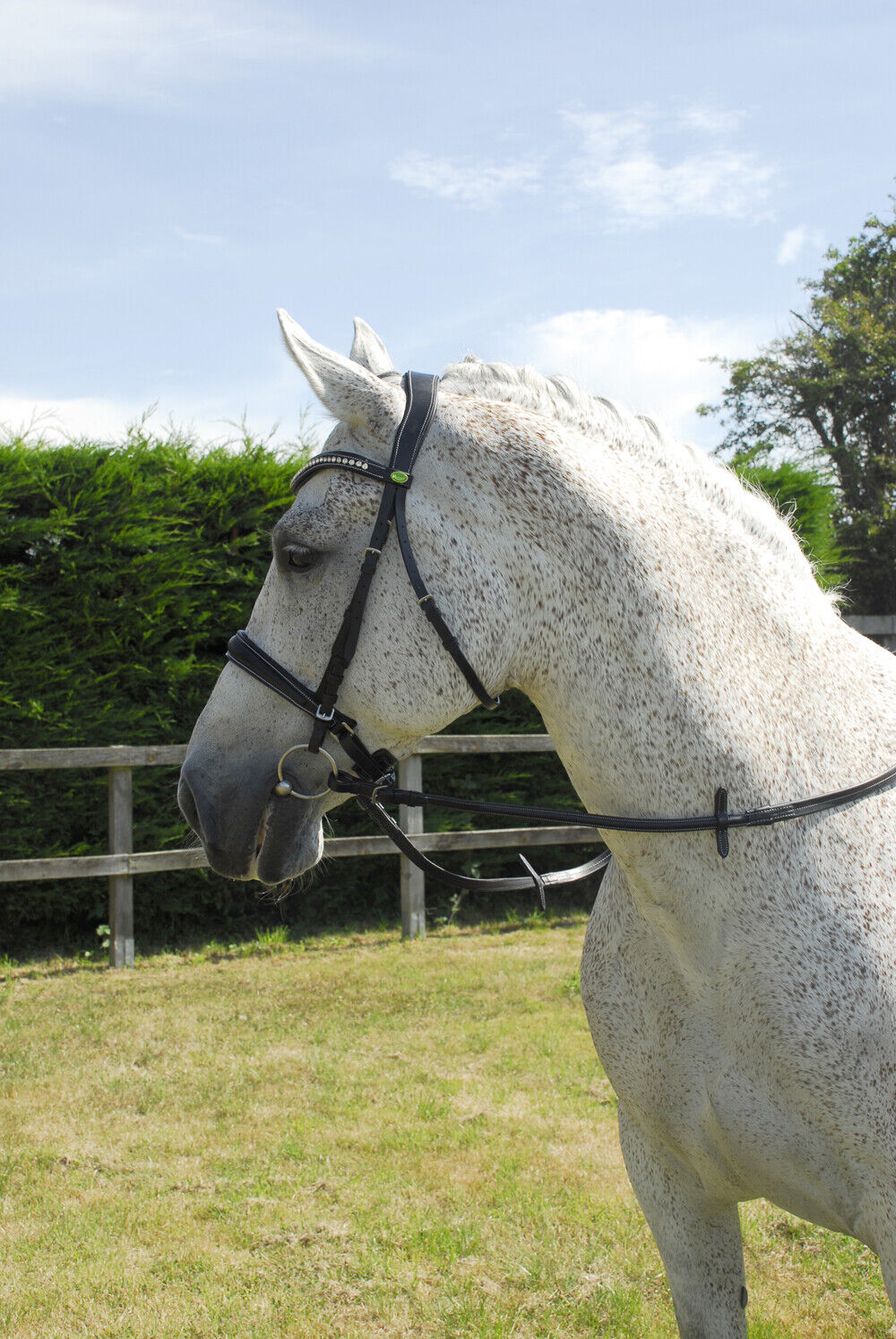 Picture of Rhinegold Italian Leather Anatomical Bridle With Crank Noseband | 2 Colours