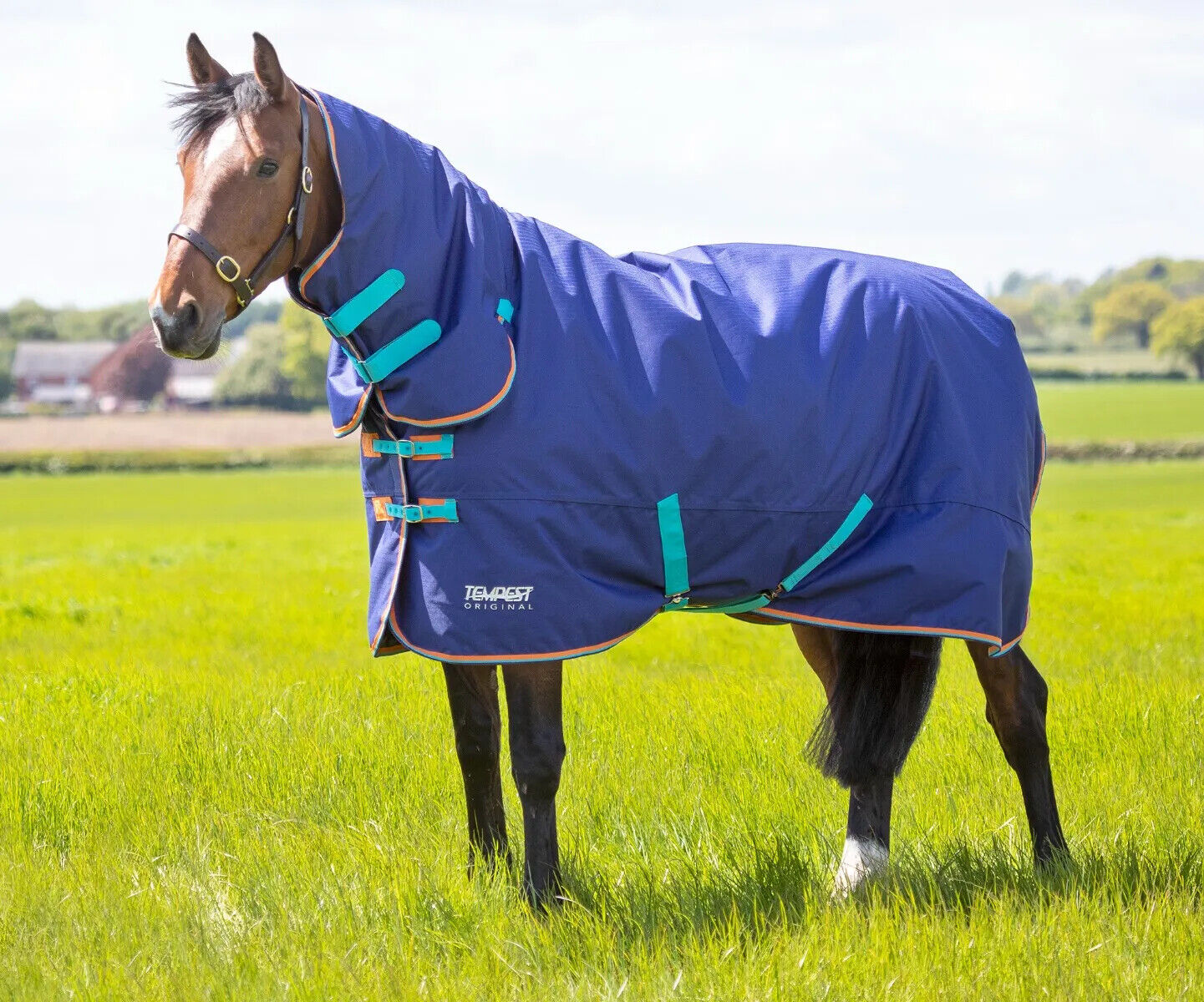 Picture of Shires Tempest Original 100G Rug Combo Horse/Pony Turnout Rug | 2 Colours