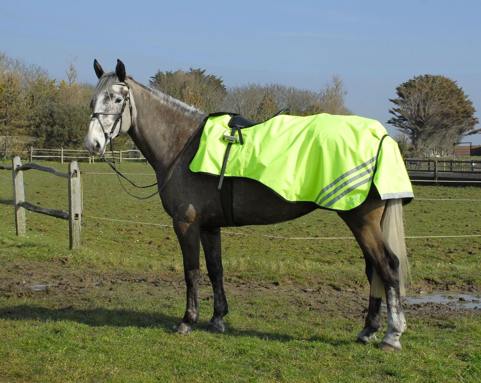 Picture of Rhinegold 3/4 Length Cutaway Waterproof Ride On Exercise Rug | Yellow | 4 Sizes