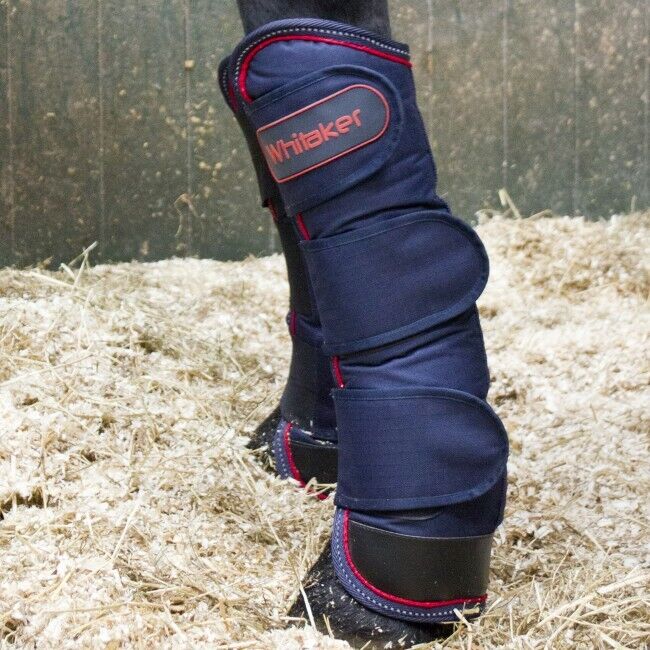 Picture of Whitaker Rastrick Reflective Travel Boots, | Navy | Pony,Cob,Full | Fleece Lined