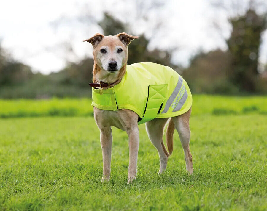 Picture of Shires Digby & Fox Reflective Waterproof Dog Coat | Insulated 200g fill |8 Sizes