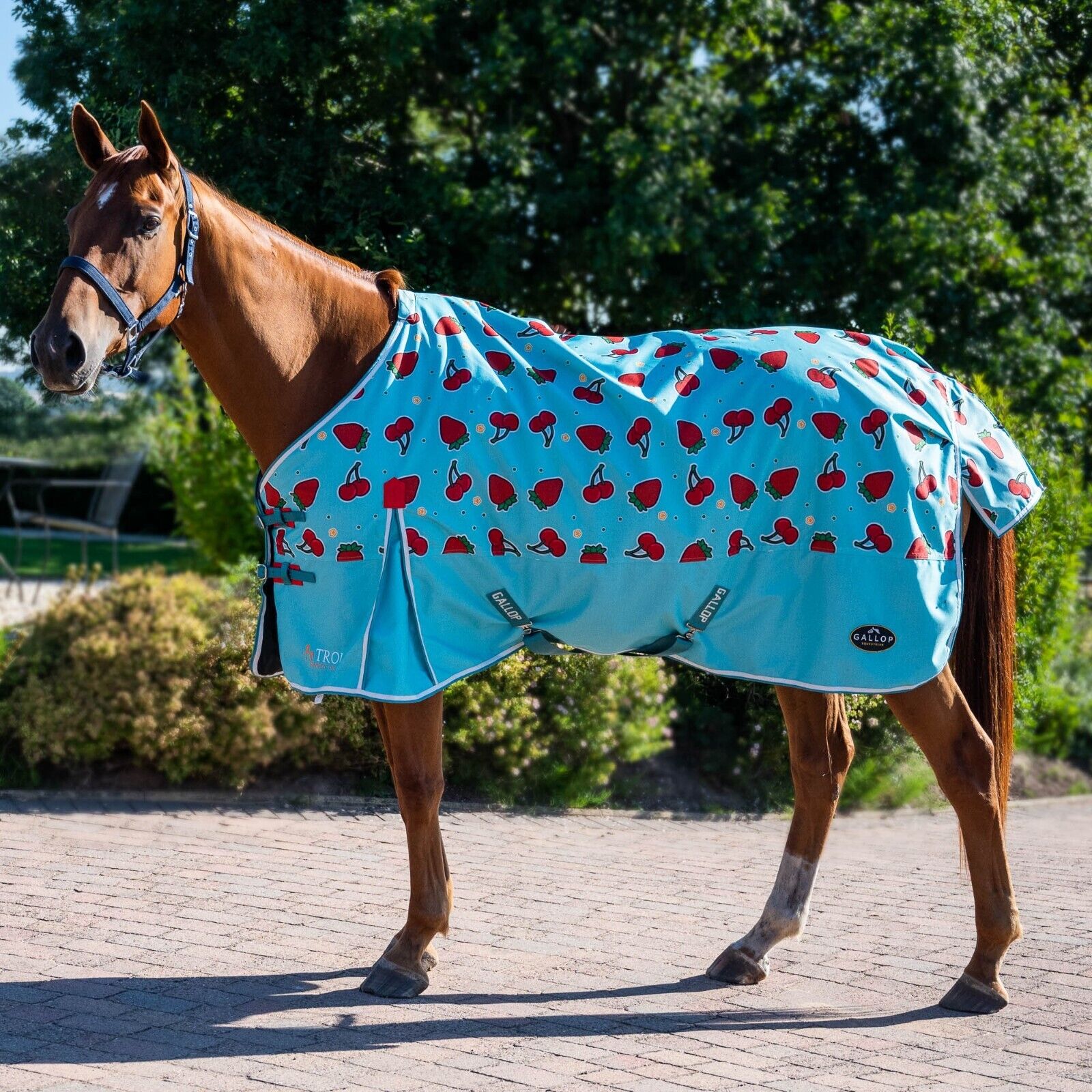 Picture of Gallop 0g Lightweight Rug Trojan Berries & Cherries Horse/Pony Turnout