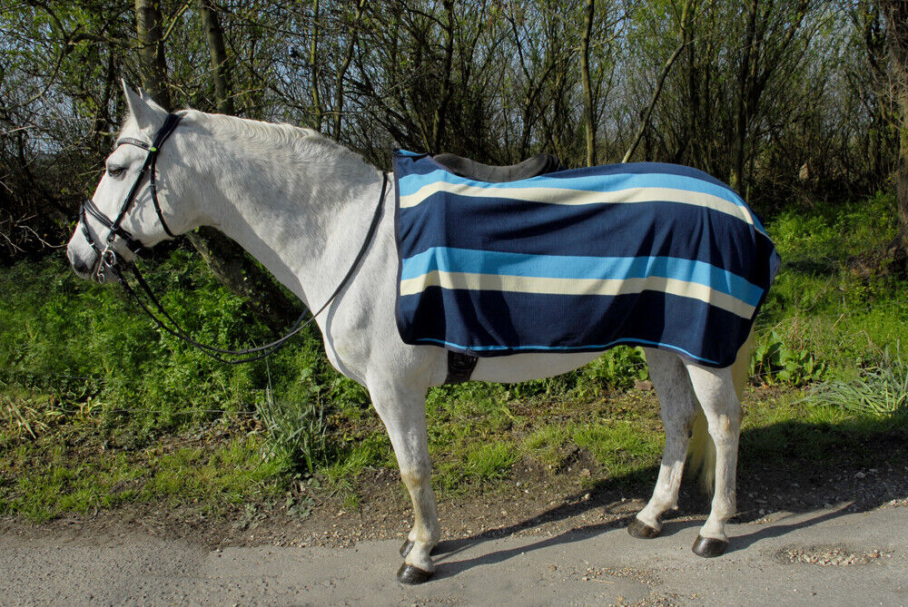 Picture of Rhinegold Fleece Ride on Horse Exercise Rug | Turquoise Stripe | Pony, Cob, Full