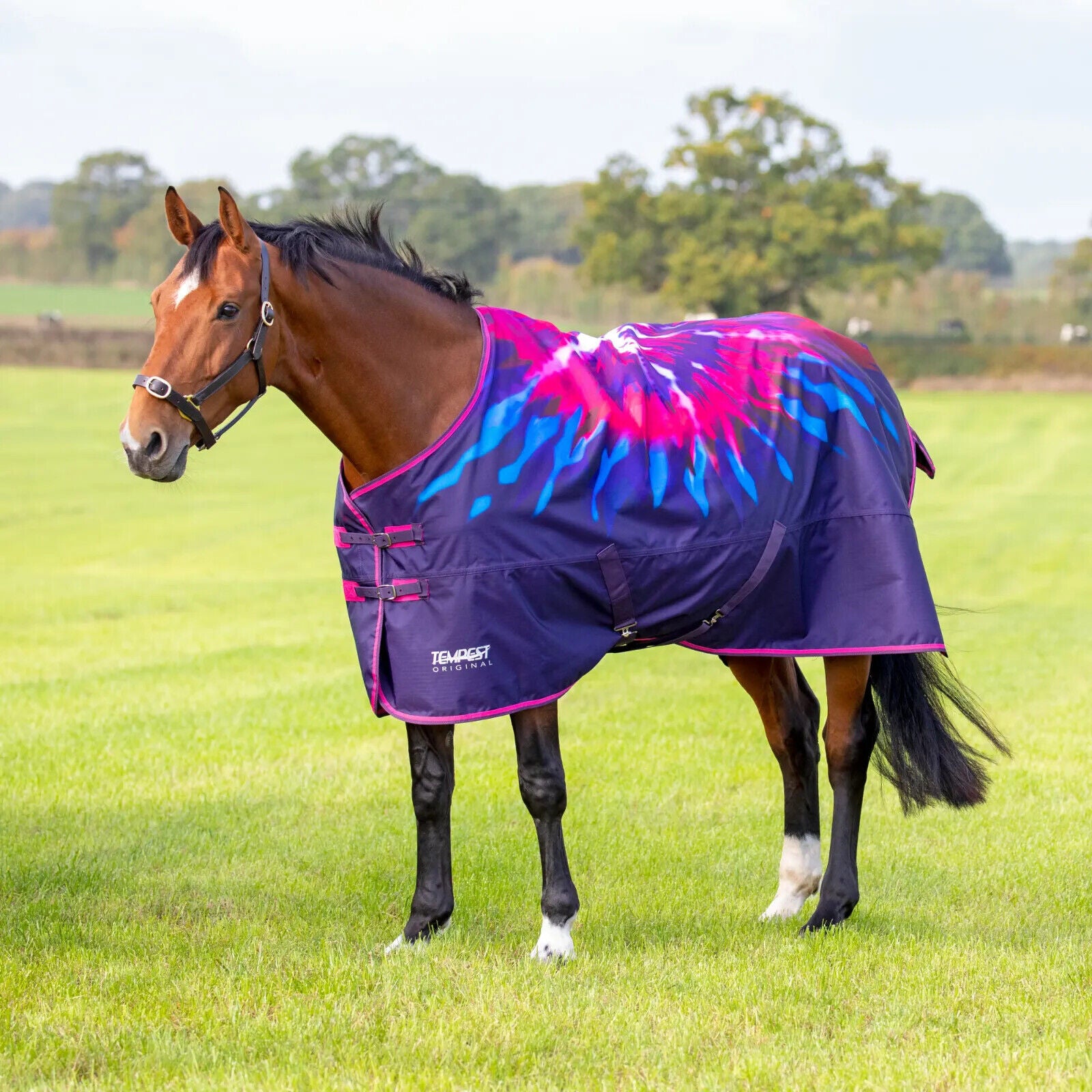 Picture of Shires Tempest Original 200 Horse Turnout Rug Std Neck |  2 Colours