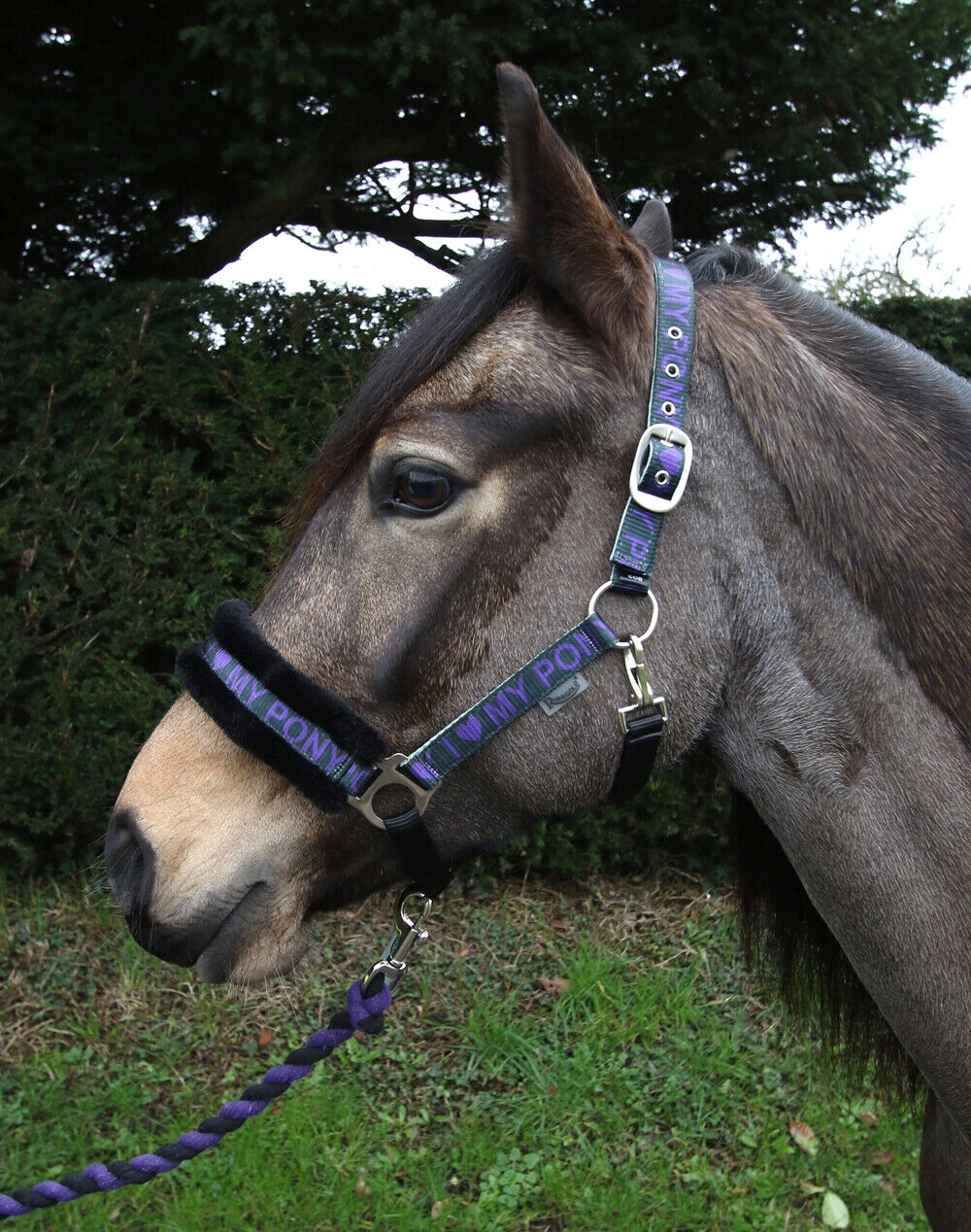 Picture of Rhinegold Love My Pony Headcollar & Lead Rope Set | 7 Colours | 4 Sizes