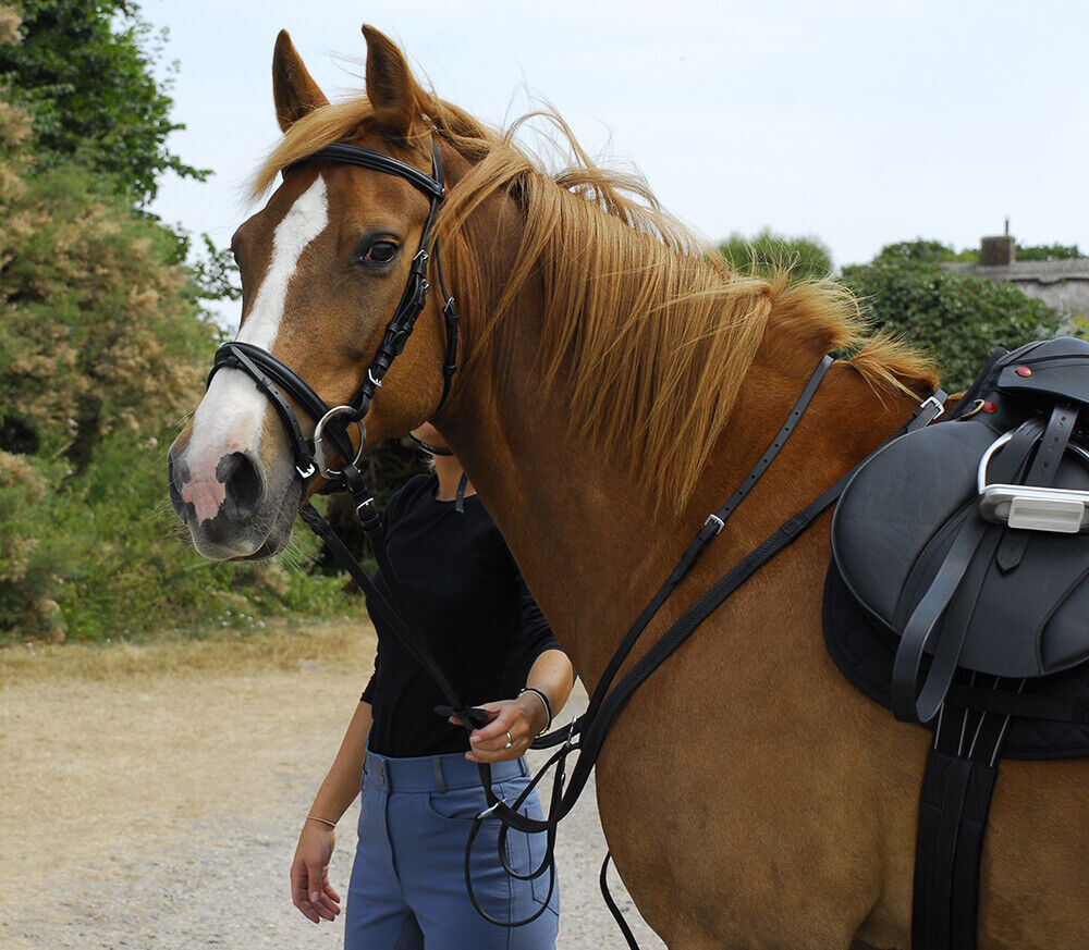 Picture of Windsor Leather Snaffle Bridle with flash Noseband and Reins | Black, Havana