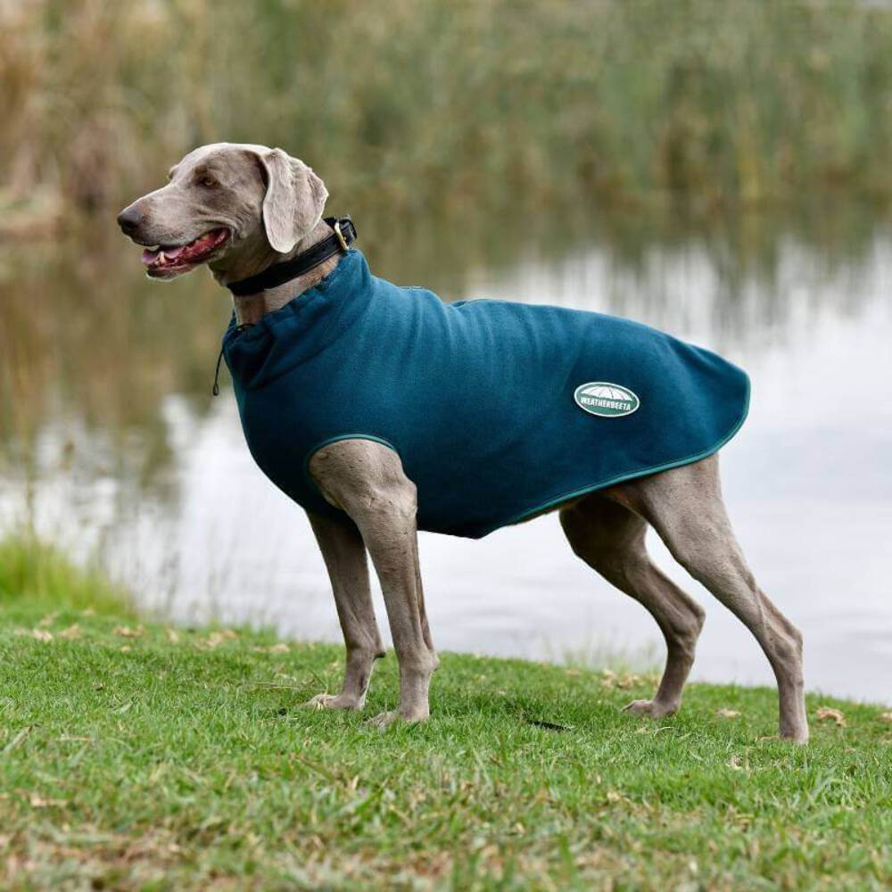Picture of Weatherbeeta Green-Tec Fleece Zip Dog Coat,  Dragonfly Blue/Bottle Green.
