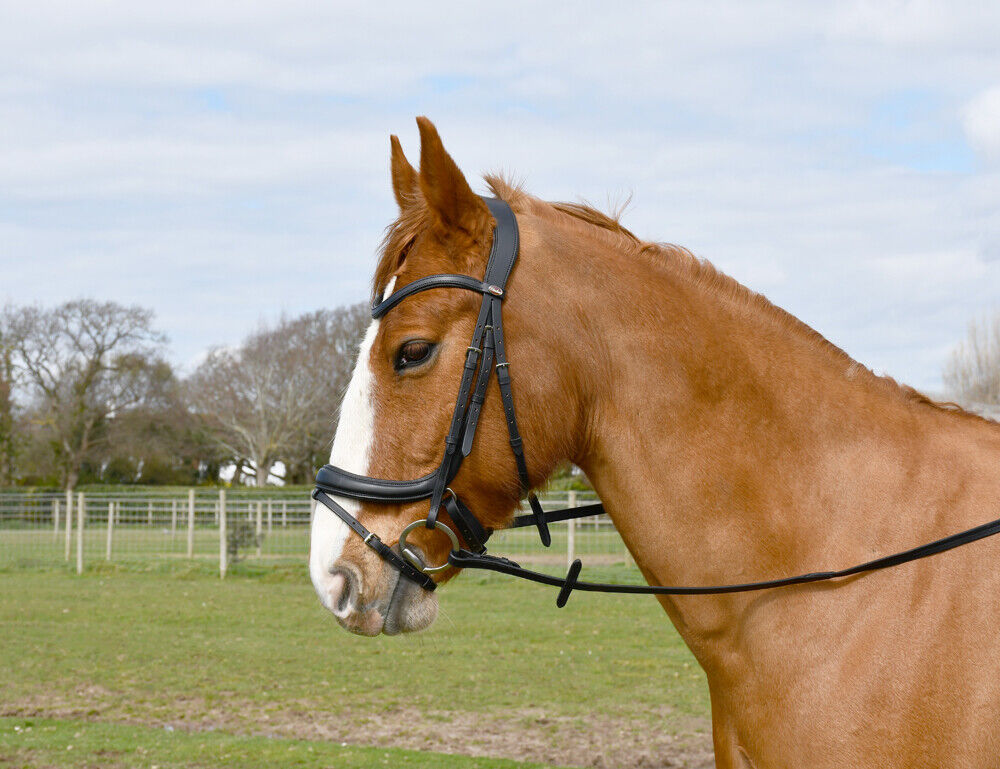 Picture of Windsor Leather Anatomical Horse Pony Flash Bridle, + Smooth Feel Leather Reins