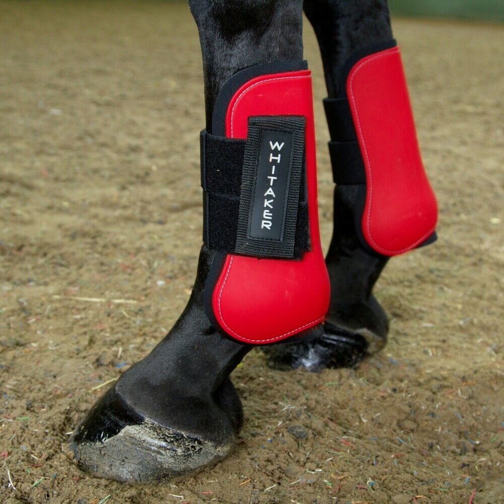 Picture of Whitaker Skipton Tendon & Fetlock Boots | Set Of 4 | Horse Boots | 5 Colours