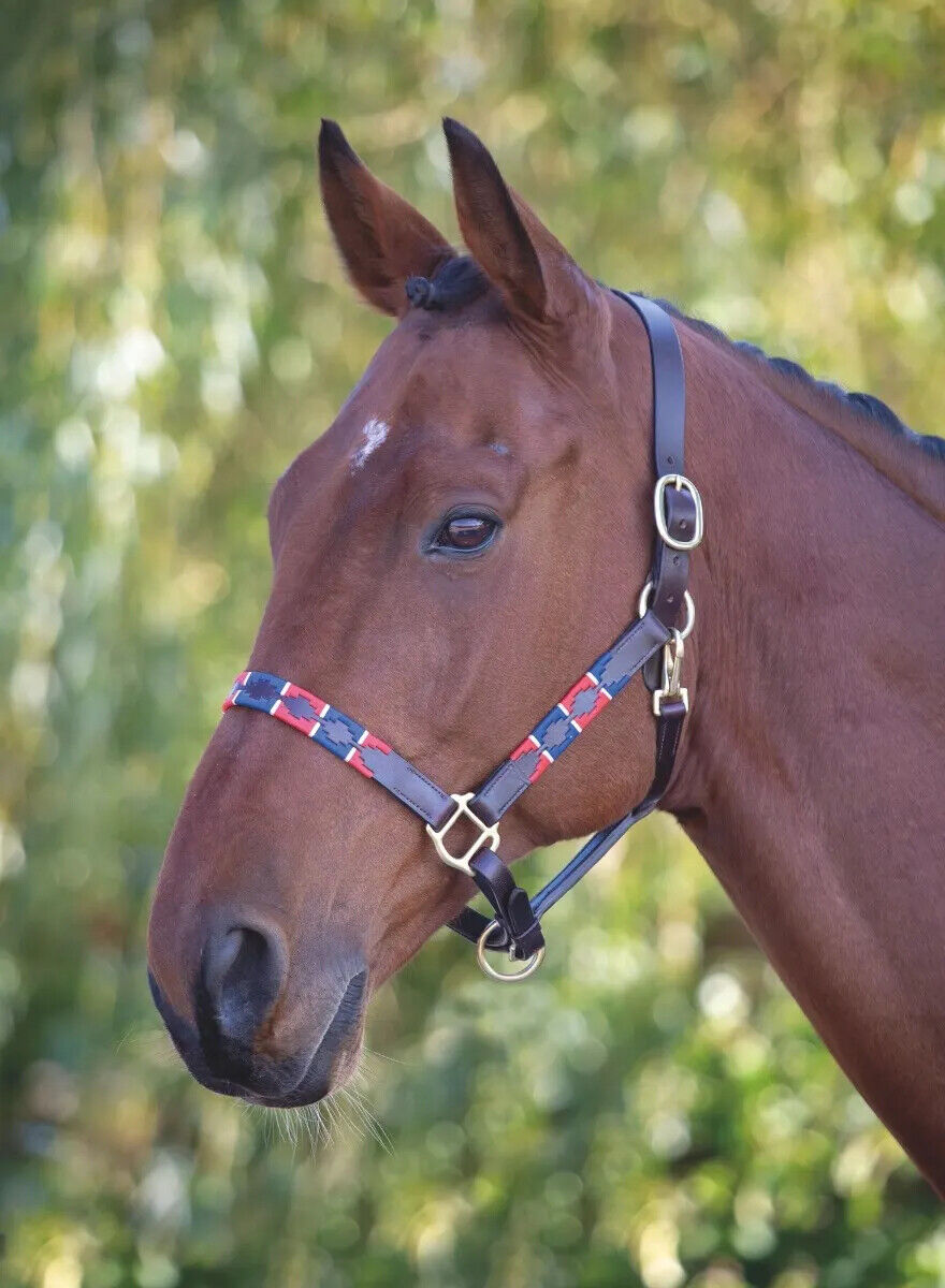 Picture of Shires Velociti Gara Leather Polo Headcollar | Adjustable | 4 Colours | 3 Sizes