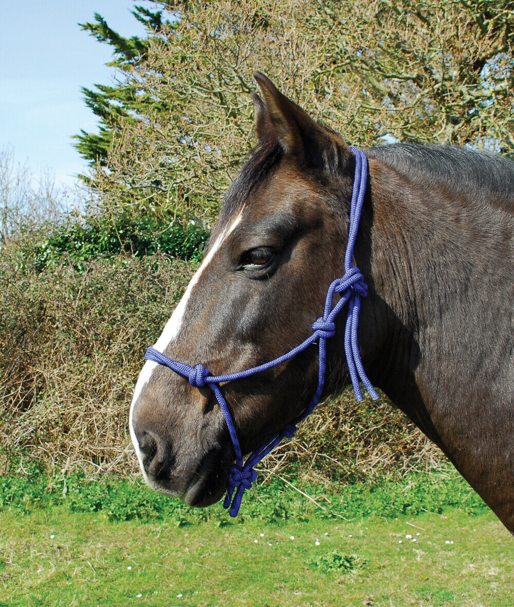 Picture of Rhinegold Traditional Rope Halter | Maintain Greater Control
