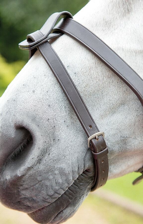 Picture of Shires Velociti Gara Leather Flash Strap | Black or Havana Colour | 5 Sizes