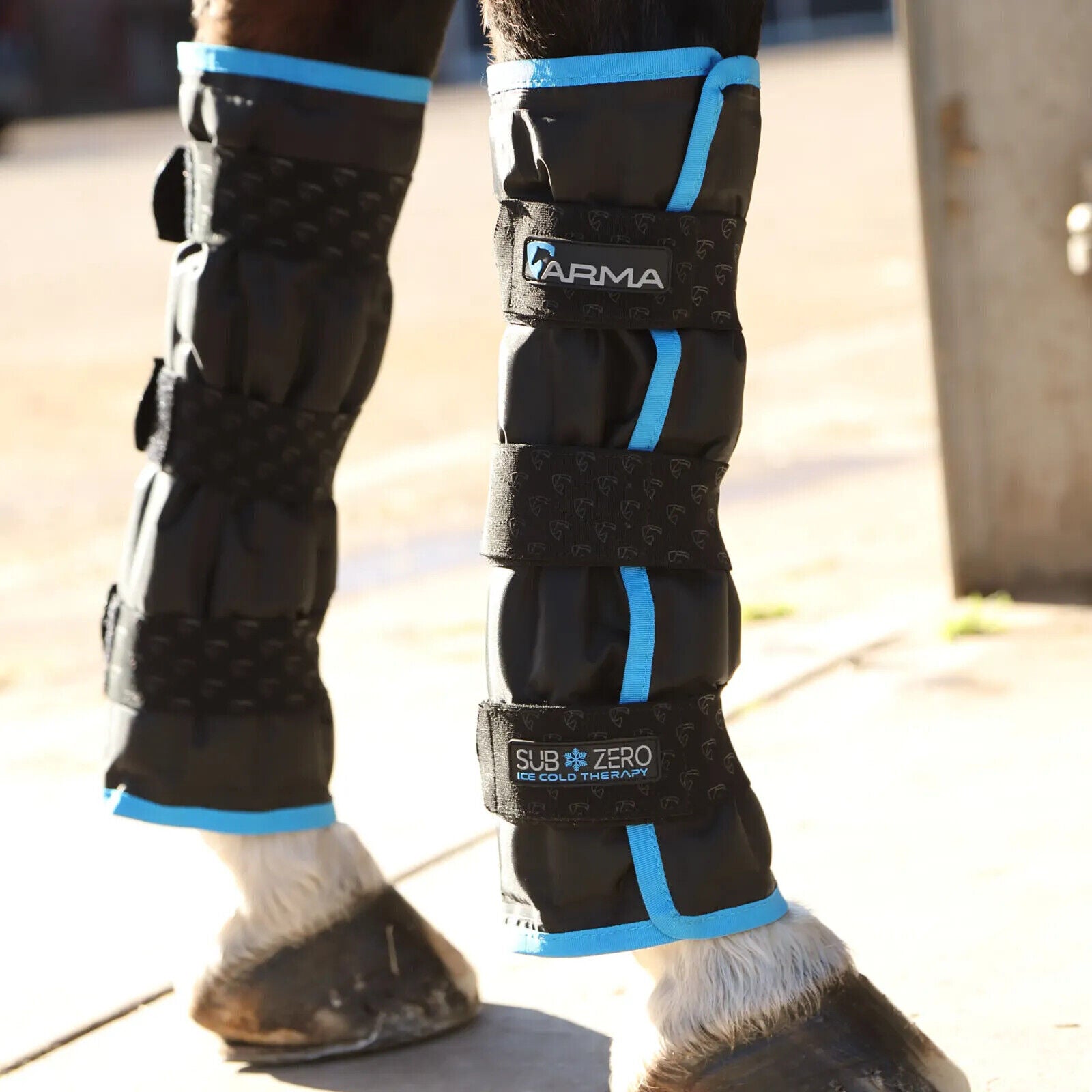 Picture of Shires Arma SubZero Ice Boots for Horse/Pony.