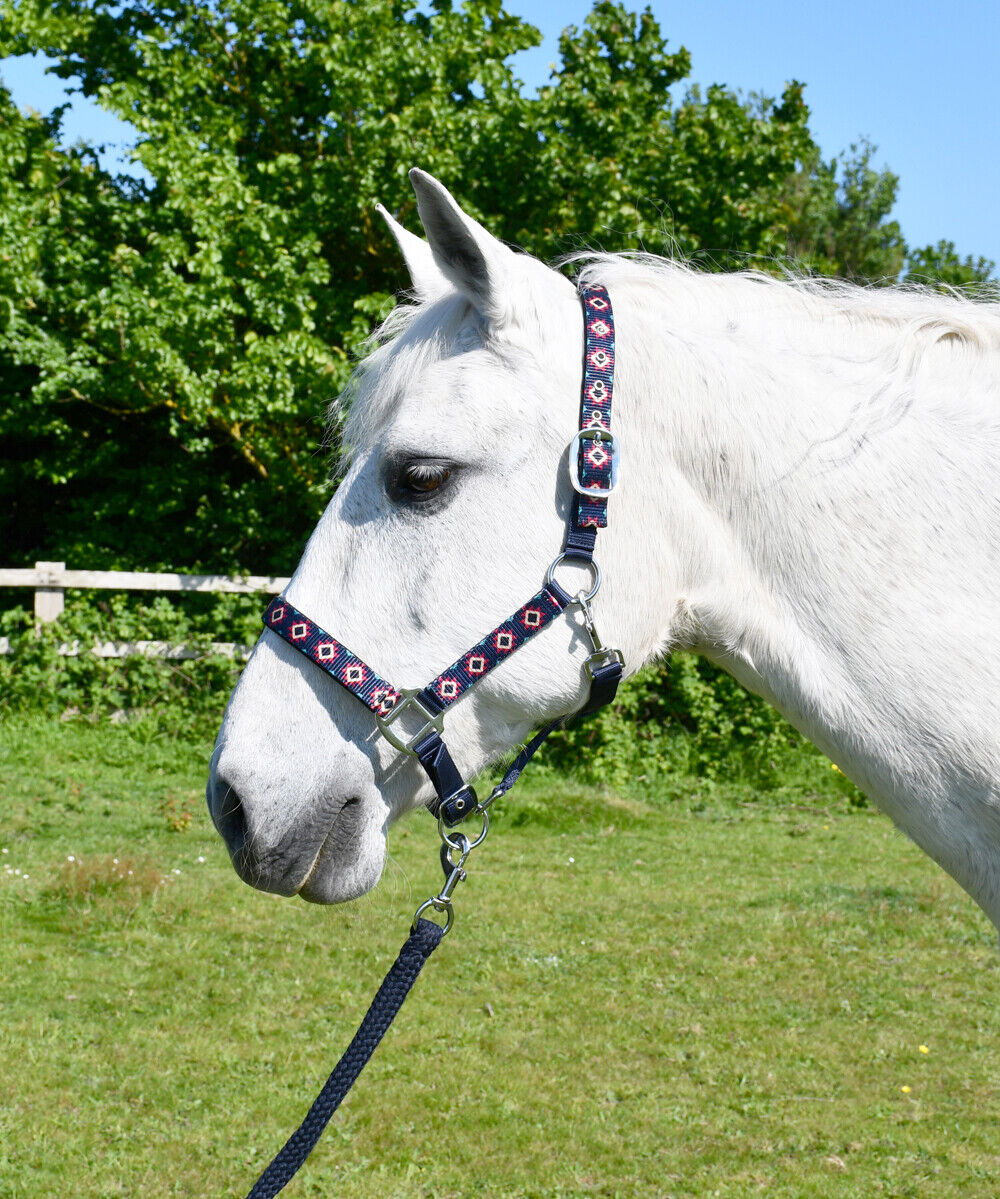 Picture of Rhinegold Aztec Padded Headcollar And Matching Lead Rope Set | 2 Colours