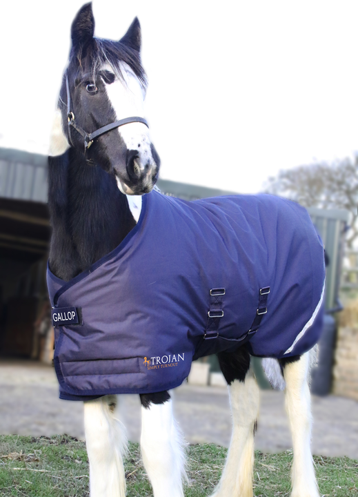 Picture of Foal Rug, GALLOP TROJAN 200g Flexi-Foal Turnout Rug, 600Denier, Size Adjustable