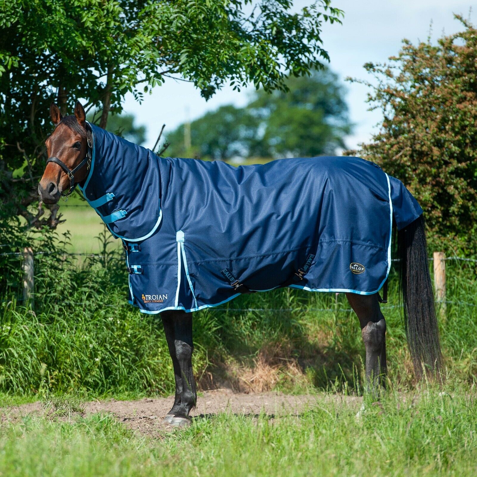 Picture of Gallop Trojan 350g Heavyweight Horse Turnout Rug Combo Full Neck Waterproof