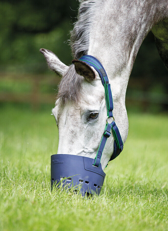 Picture of Shires Flexi Grazer Muzzle | Horse Grazing Muzzle | Pony, Cob, Full
