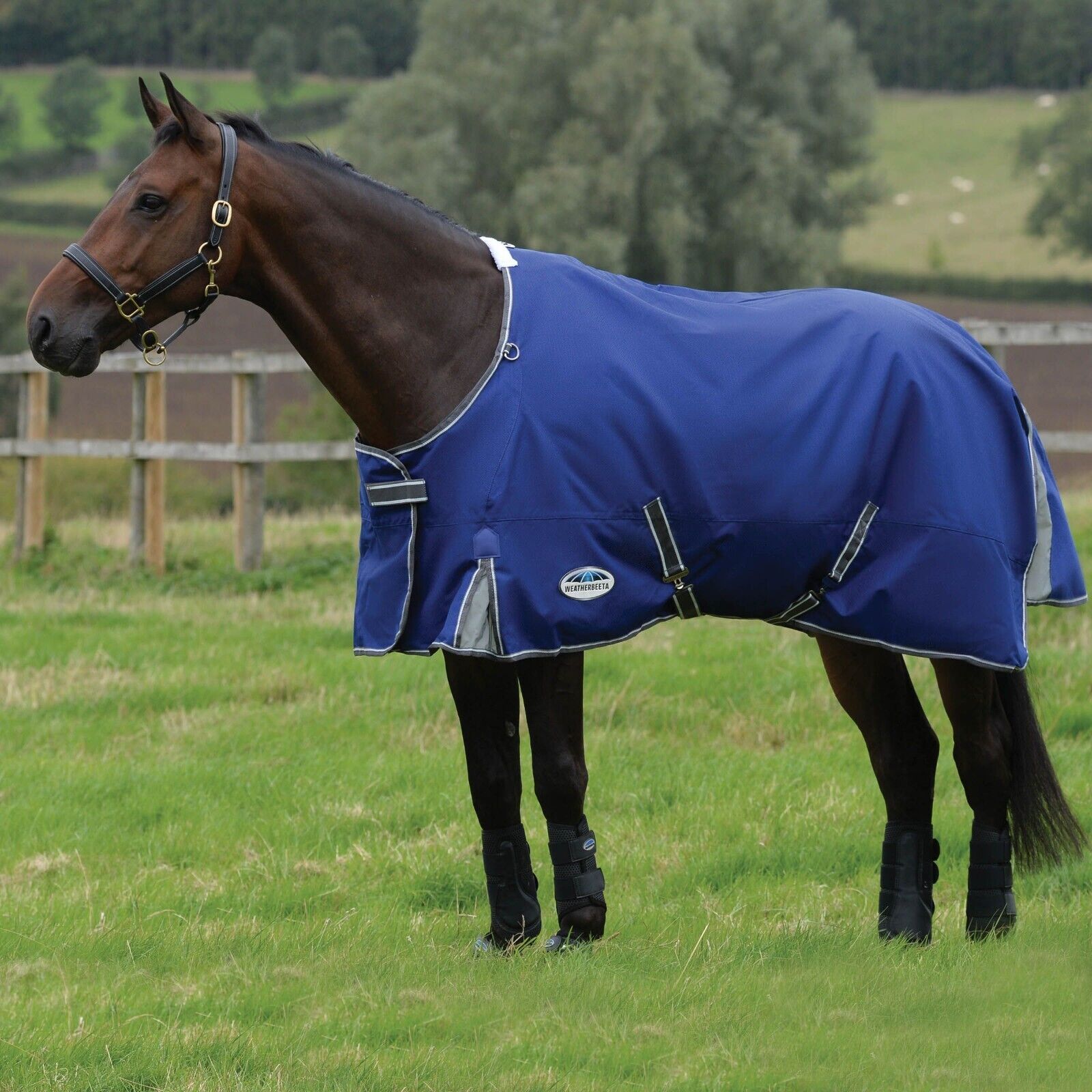 Picture of Weatherbeeta Comfitec Premier Free Ii Turnout Rug, 0g, 1200den, Lightweight