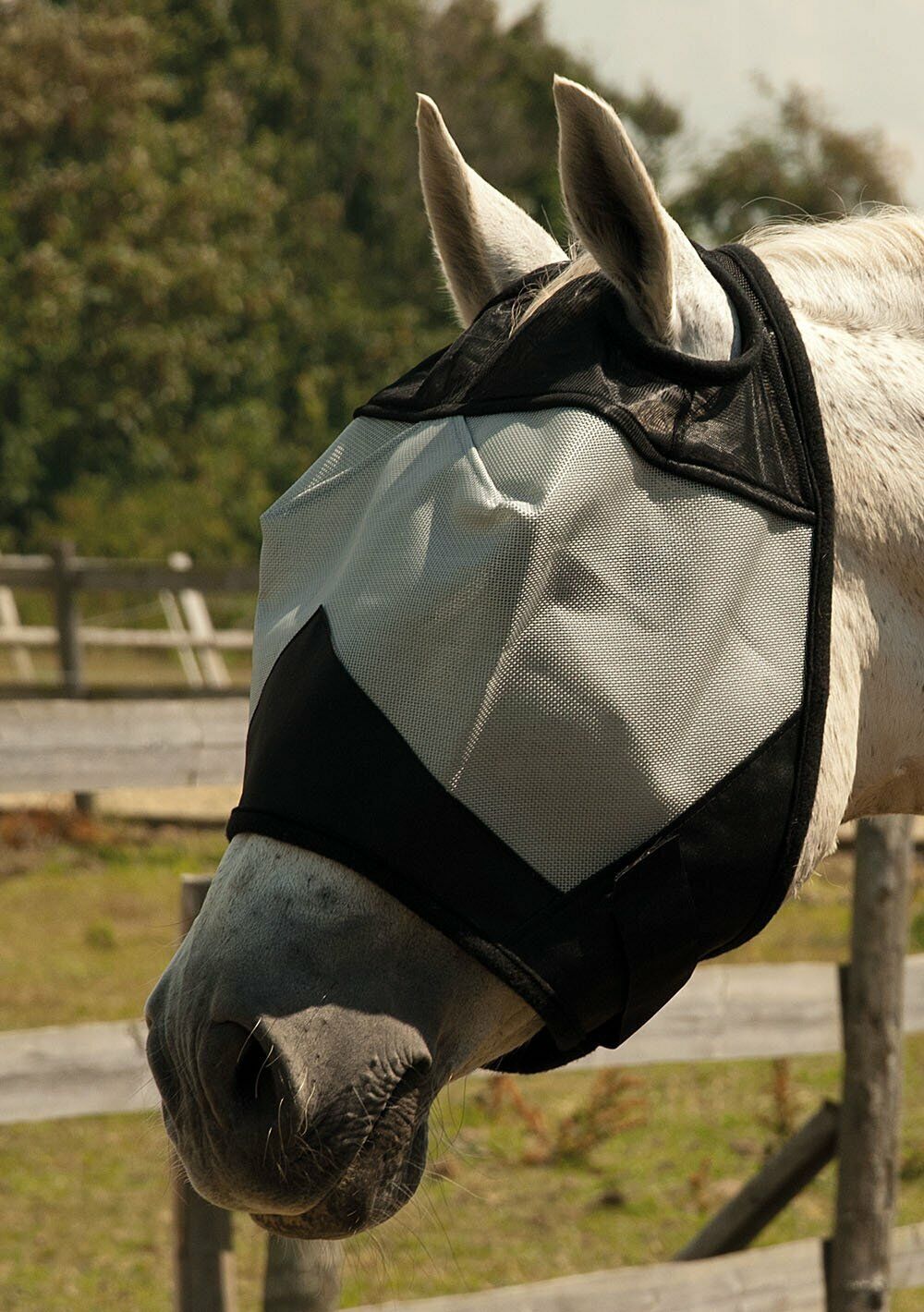 Picture of Fly Mask | Rhinegold Fly Mask Without Ears | Pony, Cob, Full, X.Full Sizes |