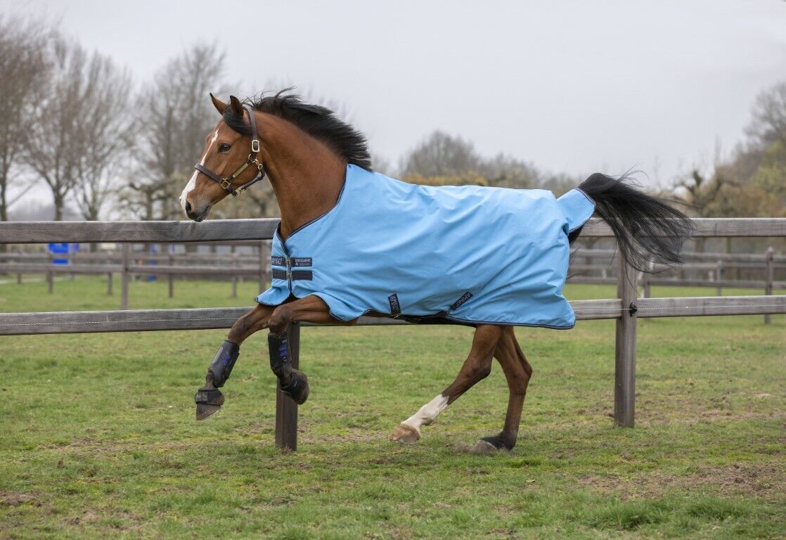 Picture of Horseware Amigo Hero 900 Lightweight Horse Turnout Rug 0g No Fill