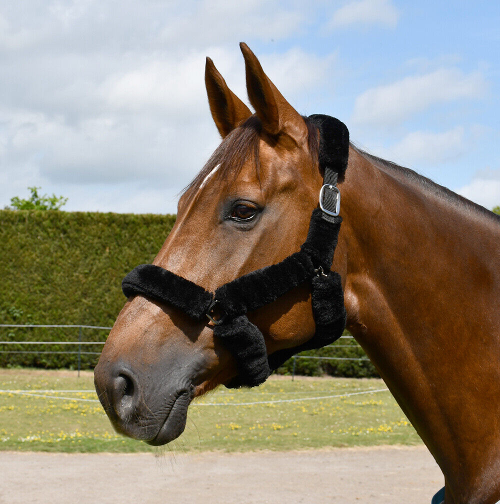Picture of Rhinegold Fur Trim Horse/Pony Headcollar | 3 Colours | 4 Sizes