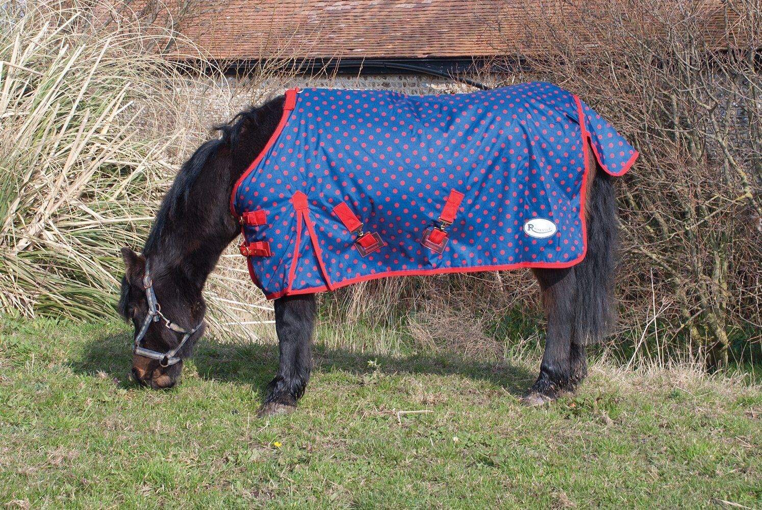 Picture of Rhinegold  Mini Torrent Lightweight 0g Turnout Rug, Std Neck, Navy / Red Spots