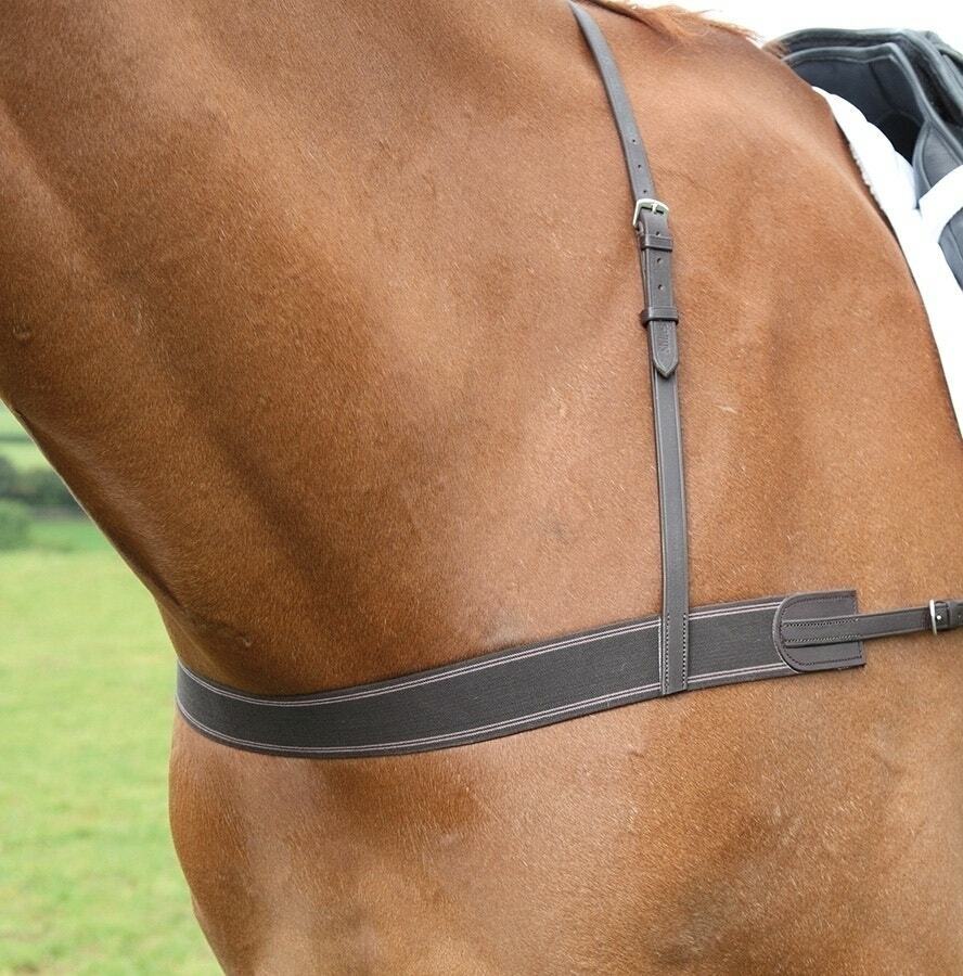 Picture of Shires Velociti Gara Elastic Breastgirth | Black or Havana | 1 Size