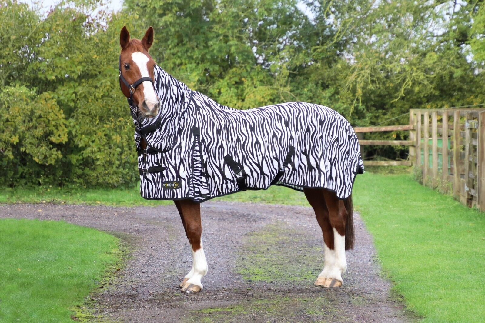 Picture of HY StormX Fly Rug Original Zebra Print Fly HOrse/Pony Rug | 4'0" - 7'3"