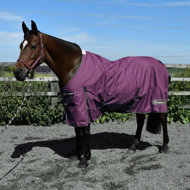Picture of Whitaker THISTLE 100G Lightweight Horse Turnout Rug | Standard Neck |800 Denier,