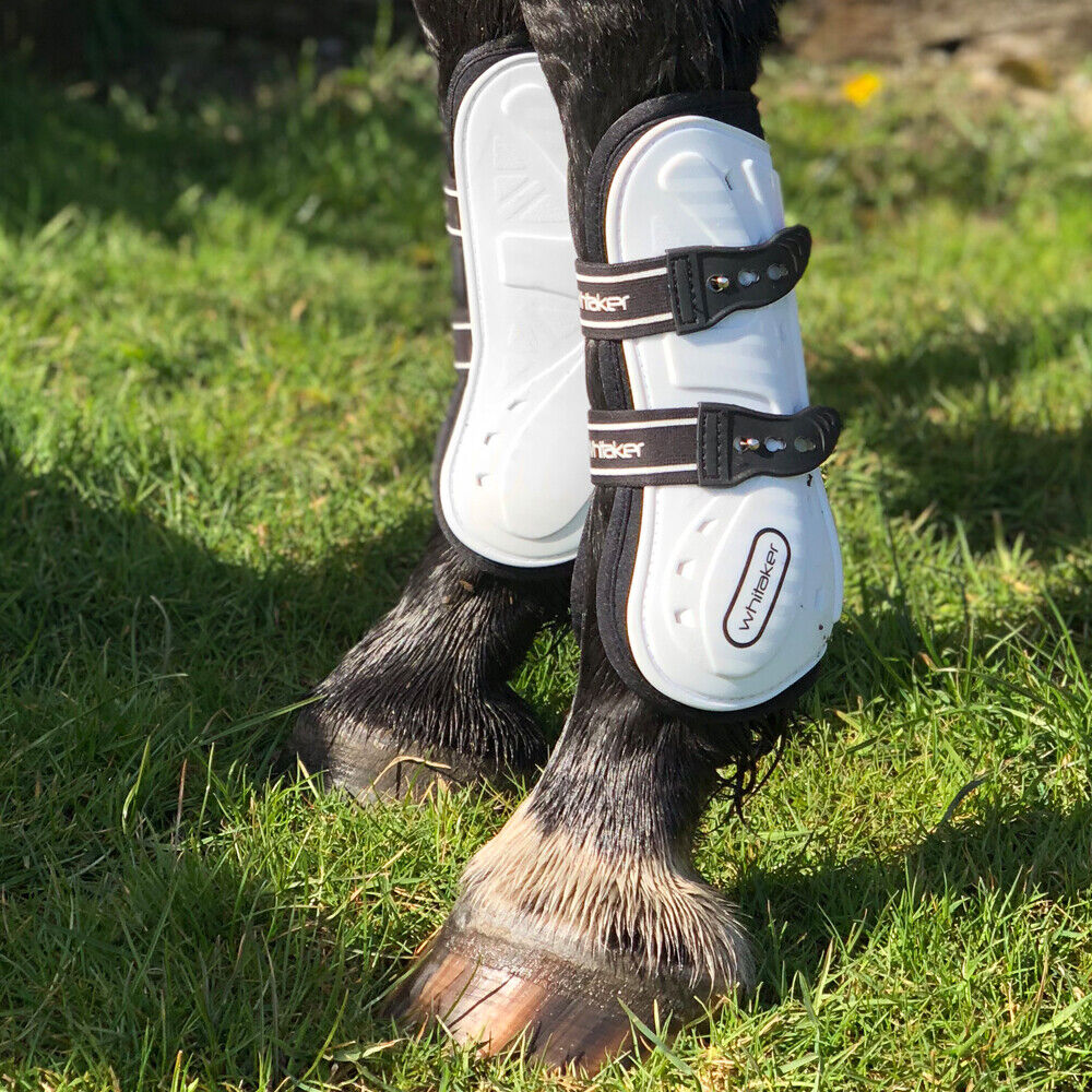 Picture of Whitaker Bingley Tendon & Fetlock Boots | Set Of 4 | Horse Boots | 4 Colours