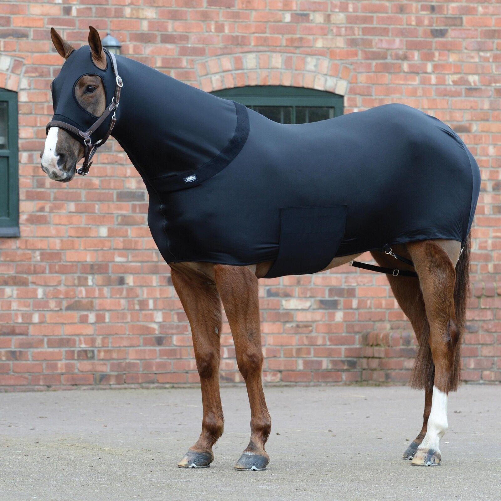 Picture of Weatherbeeta Stretch Rug, Body Wrap Body Suit , Show Prep Rug