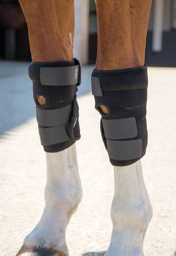 Picture of Shires Arma Hot/Cold Joint Relief Horse Boots | Black | One size