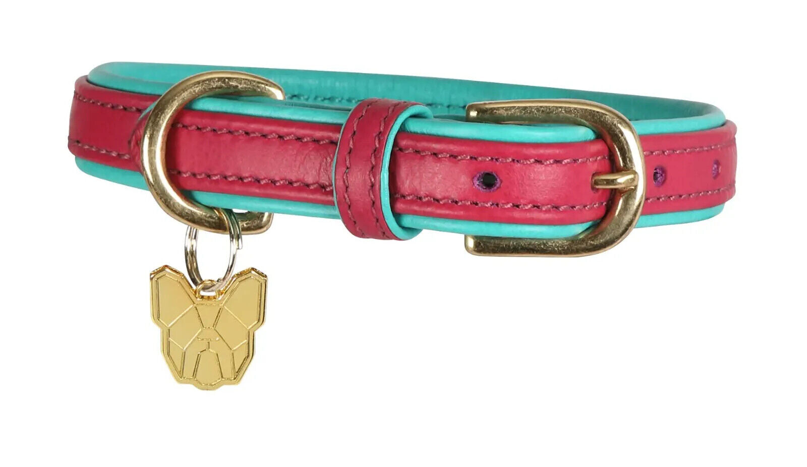 Picture of Shires Digby & Fox Padded Leather Dog Collar | 8 Sizes | 7 Colours
