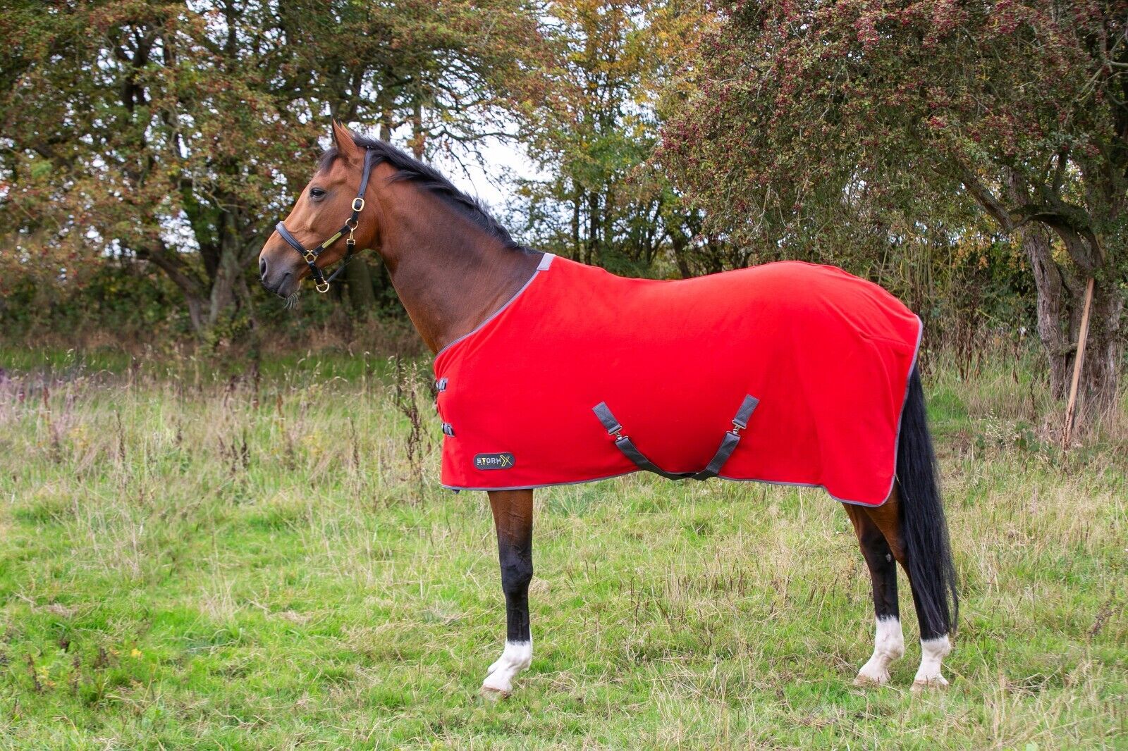Picture of HY StormX  Original Snug Fleece Travel Cooler Horse Pony Rug | Red | 4'6"- 7'3"