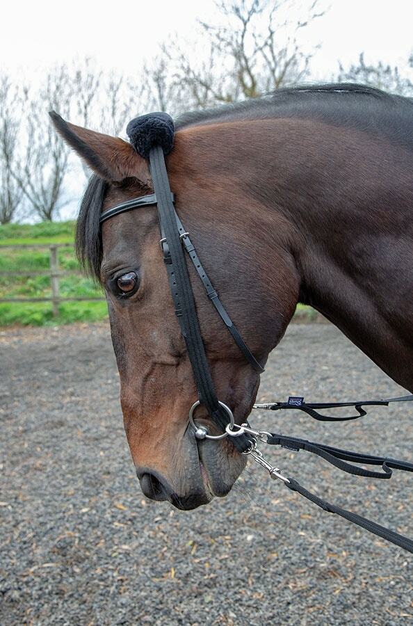 Picture of Shires Lunging Adaptor (for When Lunging with Bridle), Black, One Size