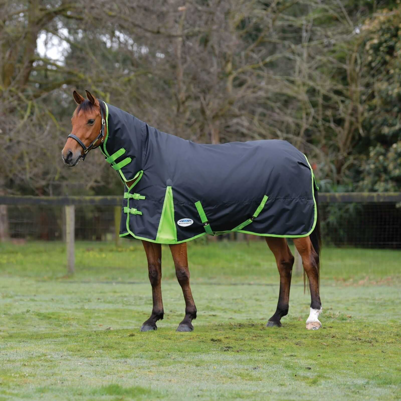 Picture of Weatherbeeta Comfitec Classic Turnout Rug, 100g,  Medium/Lite,  Fixed Neck Combo