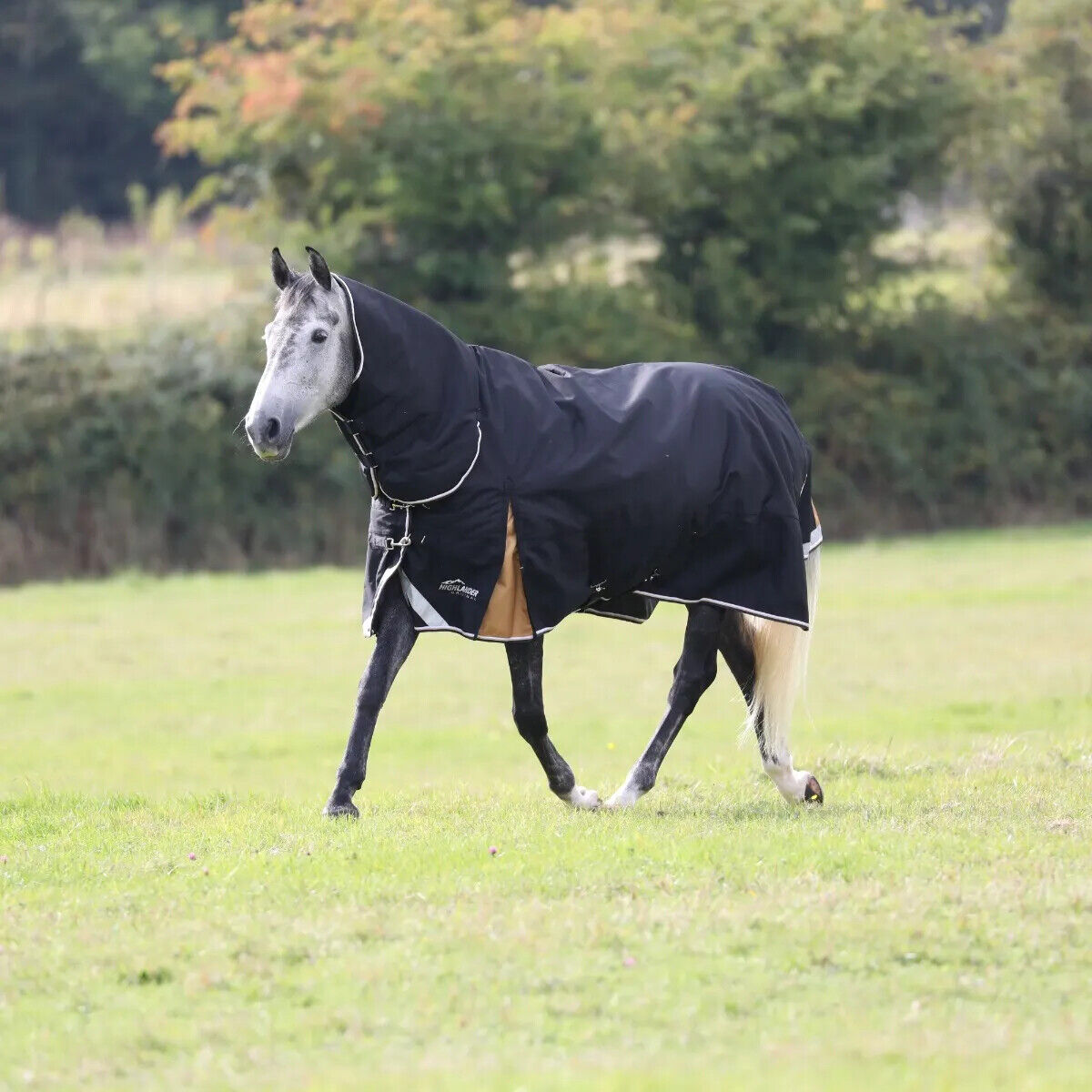 Picture of Shires Highlander Plus 200g Combo Turnout Rug, Mediumweight, Full Neck, 1200d