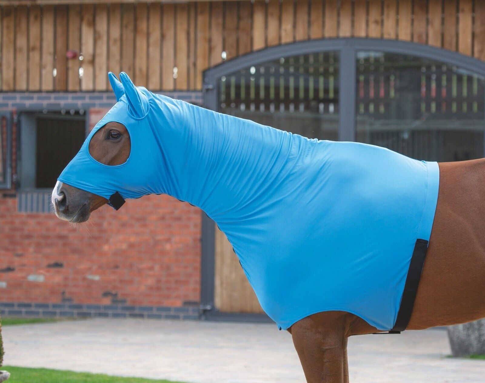 Picture of Shires Horse/Pony Nylon Stretch Hood With Full Face in Blue