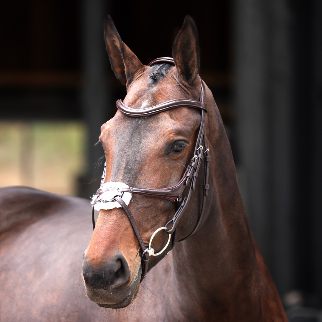 Picture of Bridle, Shires Velociti Lusso Elite Grackle Bridle, Black or Havana, 3 Sizes
